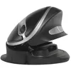 Image de BakkerElkhuizen Oyster USB Souris Wi-Fi optique ergonomique noir