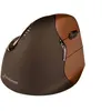 Image de Evoluent VerticalMouse 4 Small Wireless