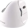 Image de BakkerElkhuizen Evoluent4 Bluetooth - Souris - pour droitiers - optique - 6 boutons - sans fil - Bluetooth