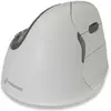Image de Evoluent Vm4rb (Sans fil), Souris, Blanc