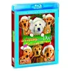 Image de Les copains fêtent noël [Blu-ray] [FR Import] en occasion ou reconditionné