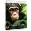 Image de Chimpanzés