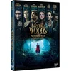 Image de Into the woods : promenons-nous dans les bois [FR Import] en occasion ou reconditionné