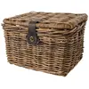 Image de Fastrider Panier Sera Rattan Lid 17l One Size
