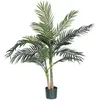 Image de Plante Palmier Areca Golden Cane Vert Hauteur 120cm