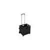 Image de Chariot de courses pliable, chariot pliable de 30l