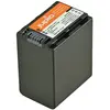 Image de Jupio NP-FV100 V2 (Batterie de l'appareil photo), Alimentation pour appareil photo, Noir