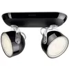 Image de Philips myLiving Plafonnier LED Dyna 2 x 3 W Noir 532323016