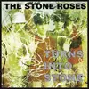 Image de Turns into stone Vinyle album