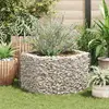 Image de Vidaxl Jardinière Surélevée Gabion, Hexagonale, 100 X 90 X 50 Cm