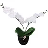Image de vidaXL Plante artificielle avec pot Orchidée 30 cm Blanc