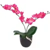 Image de vidaXL Plante artificielle avec pot Orchidée 30 cm Rouge