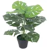 Image de vidaXL Kunstplant met pot monstera 45 cm groen244434