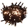 Image de vidaXL Guirlande Lumineuse 1000 LED Intérieur et Extérieur Eclairage Jardin