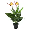 Image de Plante artificielle Strelitzia Reginae Oiseau de Paradis 66 cm