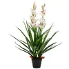 Image de vidaXL Kunstplant met pot cymbidium orchidee 100 cm groen245952