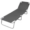 Image de Lot de a lunite chaise longue vidaxl gris L. 189 cm H. 27 cm en acier non empilable pliable