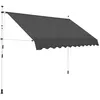 Image de Auvent manuel rétractable 300 cm Anthracite
