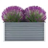 Image de Lit surélevé de jardin Acier galvanisé 100x40x45 cm Gris