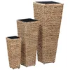 Image de Lits surélevés 3 pcs Jacinthe d eau Marron