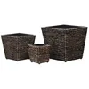Image de vidaXL Lits surélevés de jardin 3 pcs Jacinthe d'eau Marron