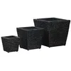 Image de vidaXL Lits surélevés 3 pcs Jacinthe d'eau Noir45573