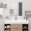 Image de vidaXL Wandspiegel 100x60 cm glas249534