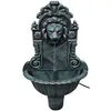 Image de Fontaine murale Design de tête de lion