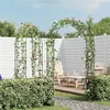 Image de Arche de jardin - VIDAXL - 40776 - Métal - Noir - 140x39x240cm