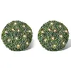 Image de Ronde kunstbuxus 27 cm met solar LED-verlichting (2 stuks)270057