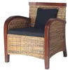 Image de vidaXL Fauteuil Rotin tissé à la main