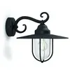Image de PASTURE-Applique d'extérieur Descendante Métal H30cm Noir Philips