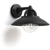 Image de TechBrey Lampe Murale PHILIPS Cormorant Noir