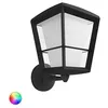 Image de HUE ECONIC WALL LANTERN
