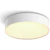 Image de Philips Hue, Plafonnier, White Ambiance Enrave (1200 lm)