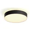 Image de Philips Hue, Plafonnier, White Ambiance Enrave (2400 lm)