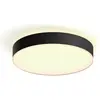 Image de Philips Hue, Plafonnier, White Ambiance Enrave (4500 lm)