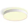 Image de Philips Hue, Plafonnier, White Ambiance Enrave (6500 lm)