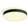 Image de Philips Hue, Plafonnier, White Ambiance Enrave (6500 lm)