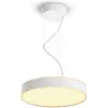 Image de Philips Hue, Suspension, Enrave (4300 lm)