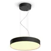 Image de Philips Hue White Ambiance, Suspension Enrave Noire