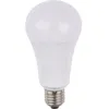 Image de Ampoule Led Gls A60x115 1500 Lm 15w Opale
