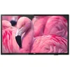 Image de Philips 43HFL4014 - Classe de diagonale 43" Professional PrimeSuite TV LCD rétro-éclairée par LED - hôtel / hospitalité - Smart TV 1920 x 1080 - LED à éclairage direct - noir