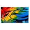 Image de Philips 50HFL6214U - Classe de diagonale 50" Professional MediaSuite TV LCD rétro-éclairée par LED - soins de santé/hôtel - Smart TV - Android TV - 4K UHD (2160p) 3840 x 2160 - gris anthracite