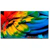 Image de Philips Tv 50hfl6214u/12 Hotel 50'' 4k Led