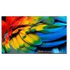Image de Philips 58HFL6214U - Classe de diagonale 58" Professional MediaSuite TV LCD rétro-éclairée par LED - soins de santé/hôtel - Smart TV - Android TV - 4K UHD (2160p) 3840 x 2160 - gris anthracite