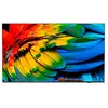 Image de Philips Tv 58hfl6214u/12 Hotel 65'' Uhd Led