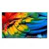 Image de TV Philips 65HFL6214U 164 cm 4K UHD Gris anthracite