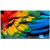 Image de Philips TV pour hôtel 65HFL6214U/12 65 (65", LED, 4K), TV, Gris