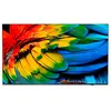 Image de Philips Tv 65hfl6214u/12 Hotel Mediasuit Android 65'' 4k Led